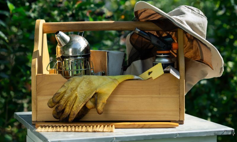 Keeping Bees on the Homestead: A Comprehensive Guide for Beginners