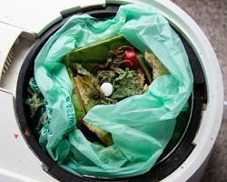 Transforming Waste into Wealth: Crafting a Compost Bin for Sustainable Living